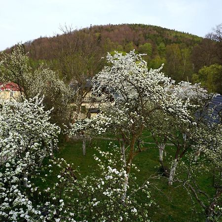 Gorski Sad - U Bazyla Piechowice  Esterno foto